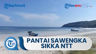 Melihat Pesona Pasir Putih Pantai Sawengka di Pulau Pemana Sikka NTT, Suguhkan Sunset yang Cantik