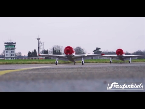 Staufenbiel Yak-11 Warbird