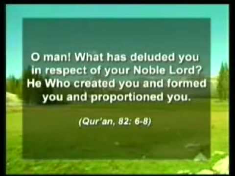 Allah's Schöpfung durch logisches Denken erkennen Teil 3