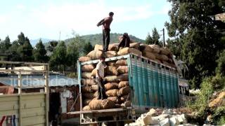 Loading workers in Lohajung in Chamoli 