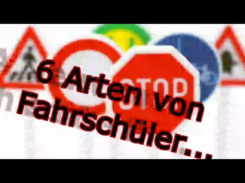 6 Arten von Fahrschüler