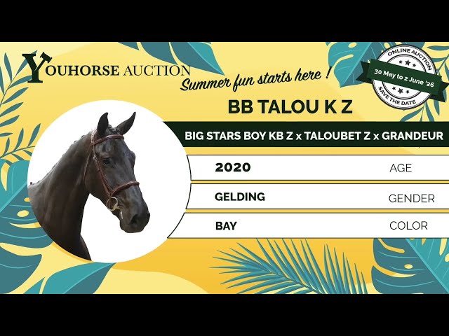 BB Talou first show