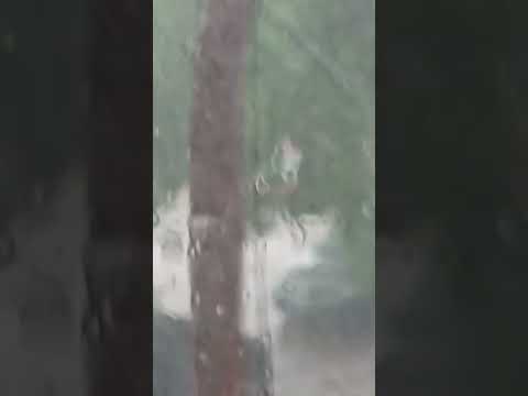 Fuerte temporal en Jujuy #viral#lluvia#viralshort#jujuy