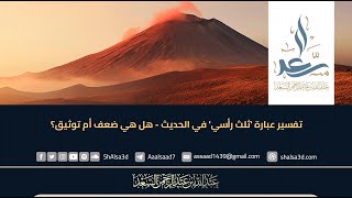 تفسير عبارة 'ثلث رأسي' في الحديث - هل هي ضعف أم توثيق؟ image