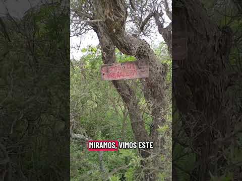 gran hallazgo en estancia vieja Córdoba argentina