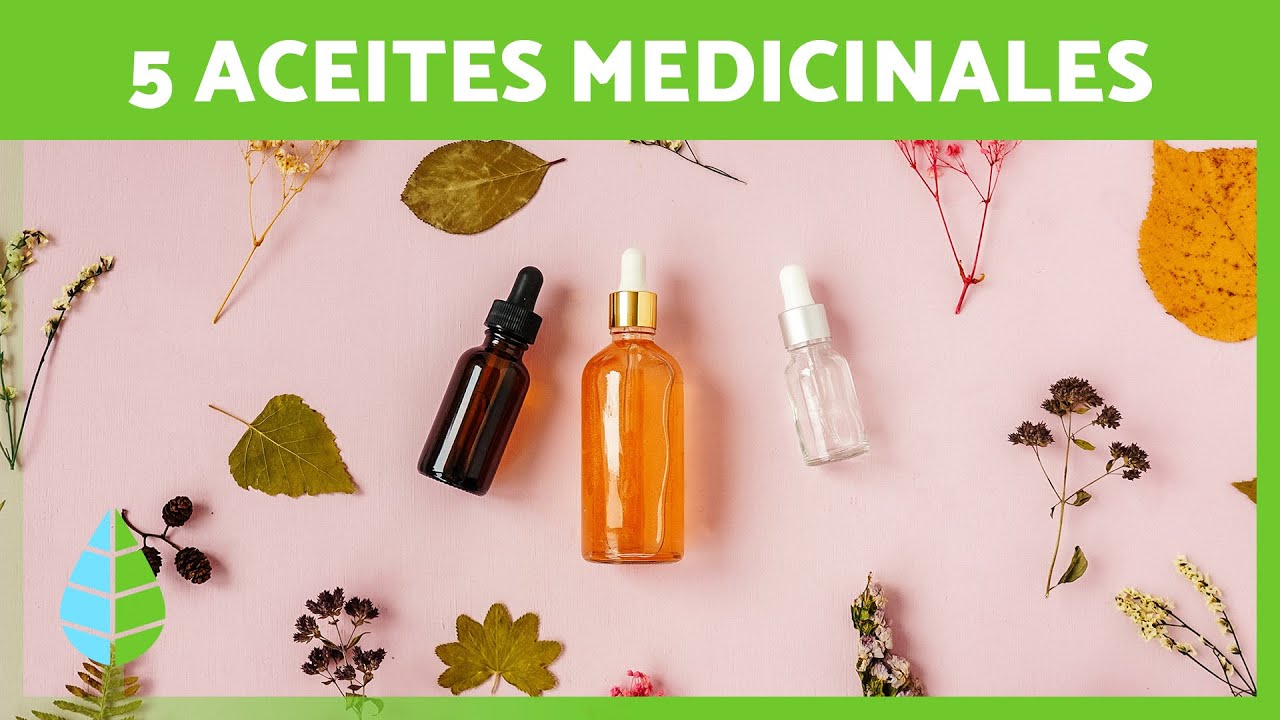 5 ACEITES MILAGROSOS para MEJORAR TU SALUD 💚🌼 Aceites de Plantas Medicinales