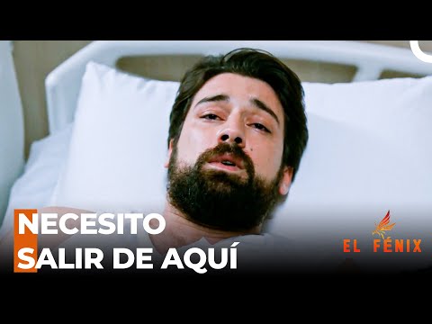 Serhat Se Enteró De La Triste Noticia - El Fénix Capitulo  21