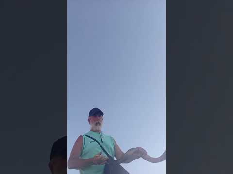 Toque Shofar, Antofagasta 1