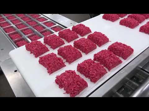 Seydelmann - Universal Grinder AW 300 U , Mixer Grinder MRU 1800