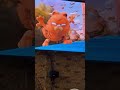 GARFIELD HIT THEM WITH THE SCREAM ️