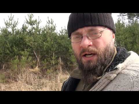 Dieta z czapki 4 - ćwiczenia fizyczne - chodzenie