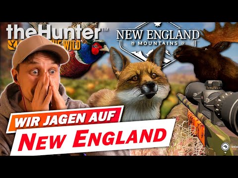 Was kann die neue Karte wirklich? theHunter Call of the Wild New England