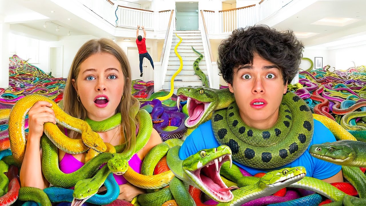 I Filled My Entire House With Snakes!