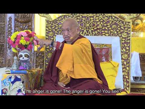 Meditation on Emptiness Is the Remedy to All the Delusions