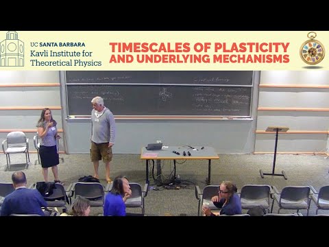 Discussion: What data are needed to drive conceptual advances about learning? ▸ #brainlearn-c23