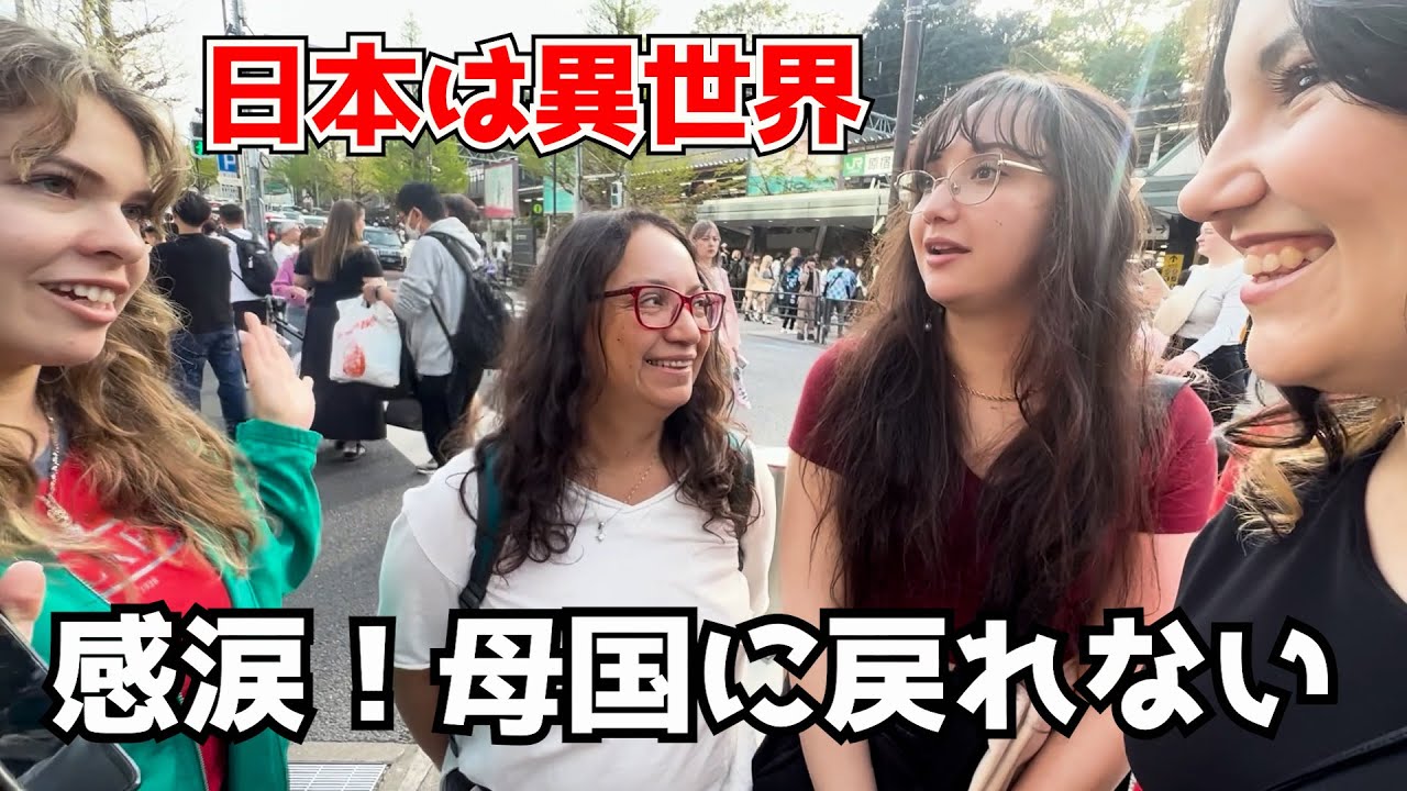 修学旅行で初来日した学生が日本文化に大感激