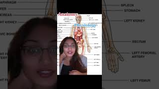 Anatomy vs. Physiology (EASY)