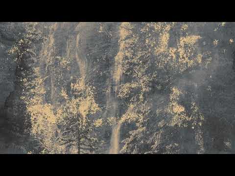 Anasisana - Synthtetic Serenity