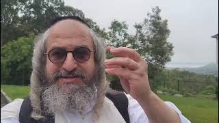 בית המדרש הווירטואלי עמוד מוהר"ן – בעברית – עמוד היומי ליקו"מ ח"ב כ' עמוד ב' – כב' עמוד א תורות יג-כ (הרב מוטה פראנק) - התמונה מוצגת ישירות מתוך אתר האינטרנט יוטיוב. זכויות היוצרים בתמונה שייכות ליוצרה. קישור קרדיט למקור התוכן נמצא בתוך דף הסרטון