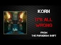 Korn - It's All Wrong [Lyrics Video]