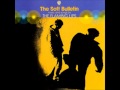 A Spoonful Weighs A Ton - The Flaming Lips