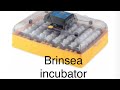 Brinsea incubator review. Hatching eggs made easy!!!!!