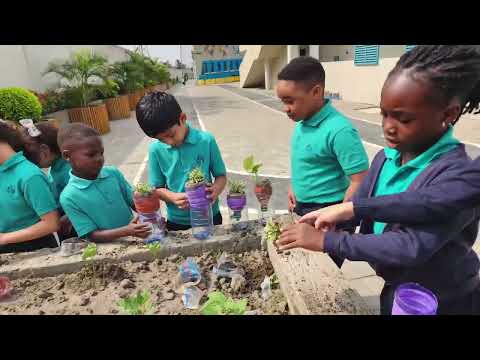 PYP Year 2 STEM Turn Trash into Treasure