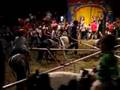 Circus 2006 Pony 2