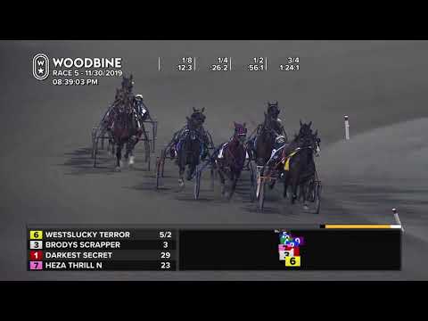 Woodbine, Mohawk Park, November 30, 2019 Race 5