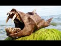 10 Most Bizarre Deep Sea Creatures 