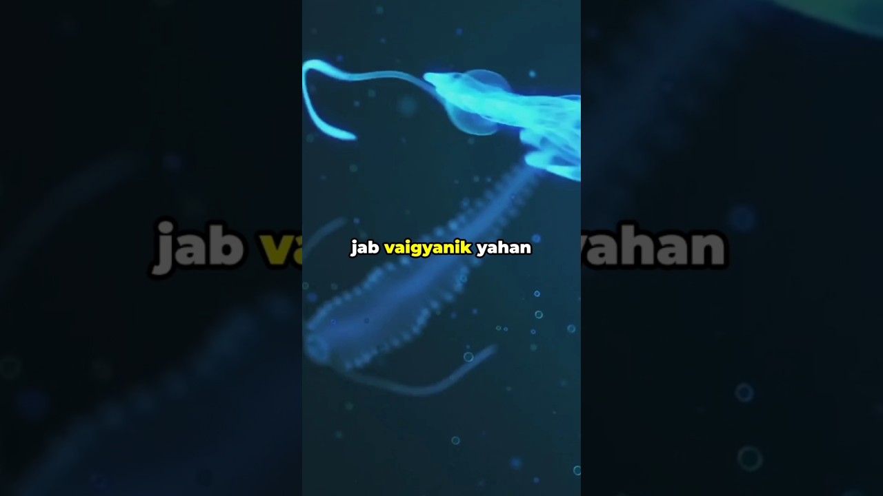 The Mariana Trench: A World Beyond Imagination” | Deepest point | Speed Fact Stream