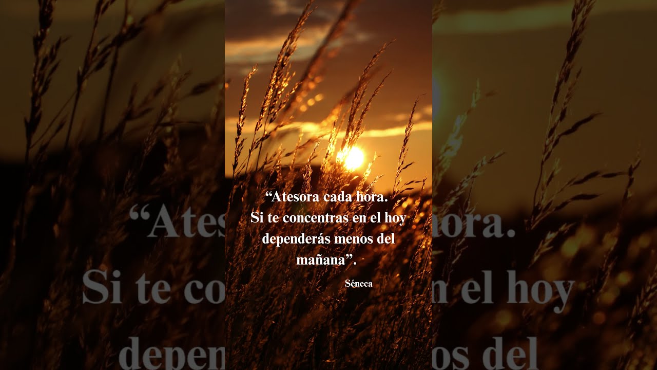 Fanny Areli Vázquez García-23