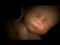 Baby process from 0 month to 9 months - YouTube