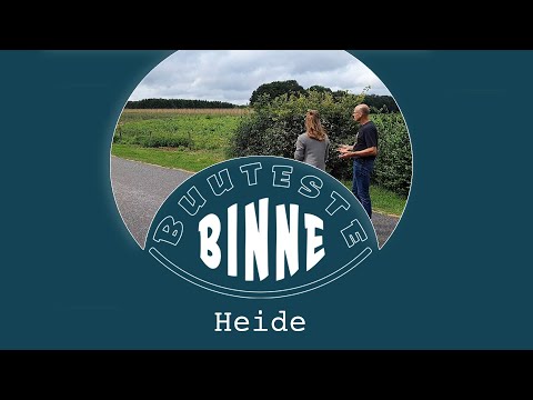 BuutesteBinne: Heide