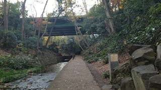 等々力渓谷に行ってきた