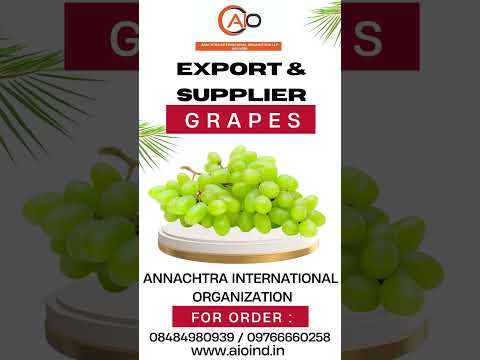 Green fresh grapes export, packaging type: paper box, packag...