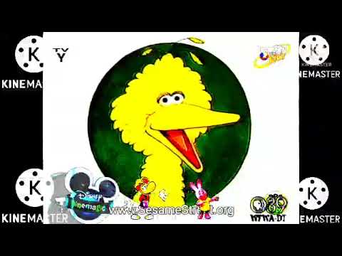 PBS's SesameStreet Start-To-Read Video on PBS Kids 8-10-2007