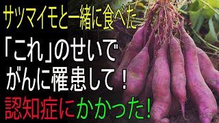 サツマイモと絶対に一緒に食べてはいけない！がんや認知症のリスクがあります！──最悪の相性3品＆慢性炎症と毒素を一掃する最高のレシピ3選【サツマイモの効能・免疫力・健康情報】