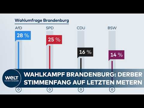 LANDTAGSWAHL IN BRANDENBURG: „Asylrecht abschaffen“, „beschränkte Meinungsfreiheit“ und SPD vs. AFD
