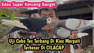 Download lagu These pigeons are insane, they’re incredibly fast mp3 Download lagu These pigeons are insane, they’re incredibly fast mp3