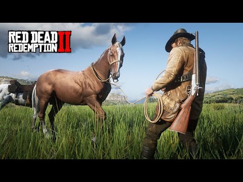 Domando CAVALOS com Arthur Morgan - Red Dead Redemption 2