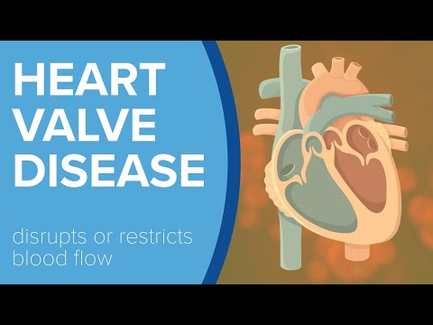 Heart Valve Disease - Yale Medicine Explains