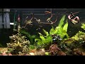 herkla hat ein neues Video zu seinem Beispiel little Asia in Bovenden hochgeladen.