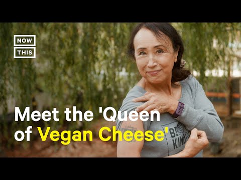 Vegan Cheese Company