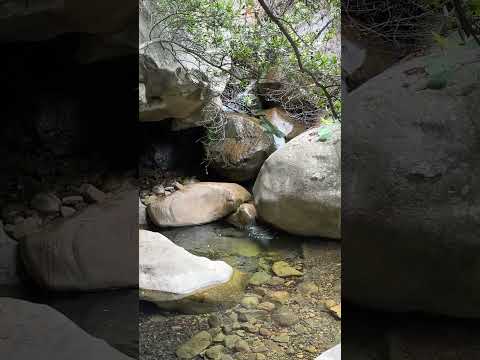 Santa Barbara’s Rattlesnake Canyon Creek #swimhole #cascade #flowingcreek