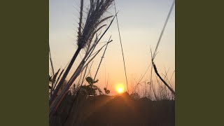 Cover art for Tragic Times