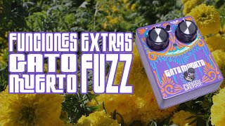 Video thumbnail for Paradox Effects | Gato Muerto Funciones Extras by Paradox Effects