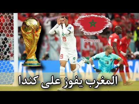 أمير ديزاد يكشف حقائق مثيرة حول جبهة البوليساريو و النظام الجزائري
