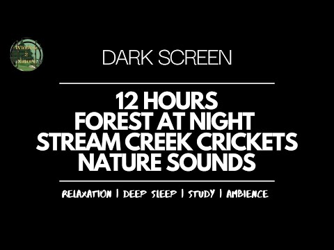 Dark Screen 12 Hours Forest Clear Night Sky Stream Creek Crickets Nature Sounds Meditation Sleep