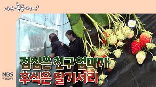 [나는농부다 295회] 점심은 친구 엄마가 후식은 딸기서리